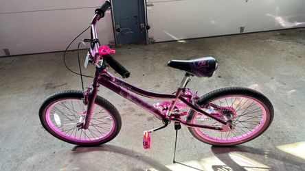 20” Girls’ Bike – Great Condition, Only $45