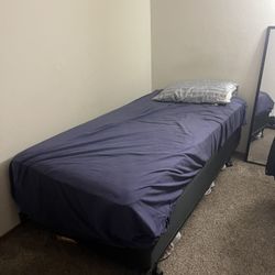 Single Bed With Frame 