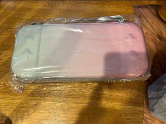Nintendo switch carrying case