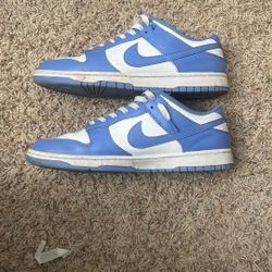 Nike polar blue dunks