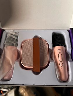 Mini karaoke speaker with 2 microphones