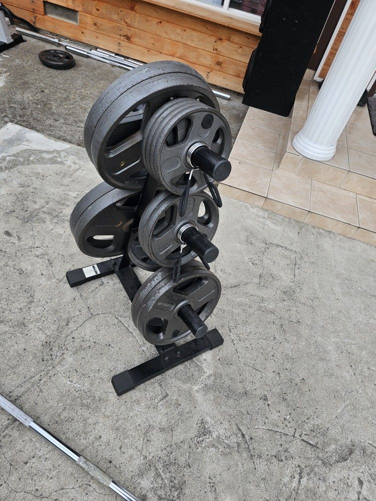 Olympic Weights Set And Barbell + Weight Three