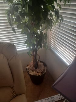 Fake house plant
