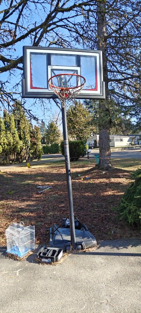 BASKETBALL HOOP