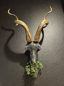 Custom Antelope skull