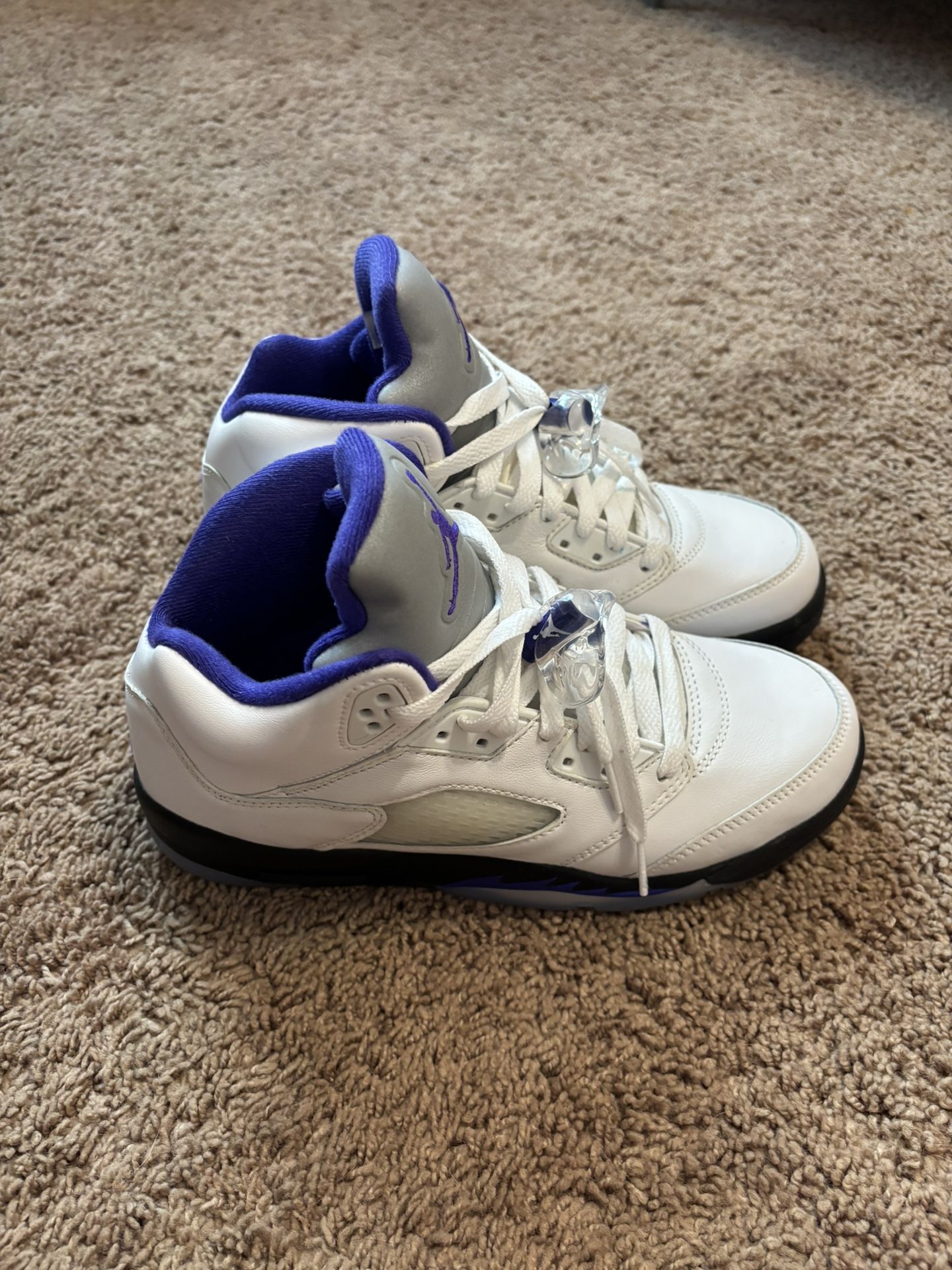 Air Jordan 5 'Dark Concord'