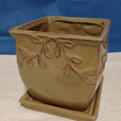 Ceramic  Pot  For  Plants .