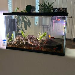 Fish Tank For Sale 