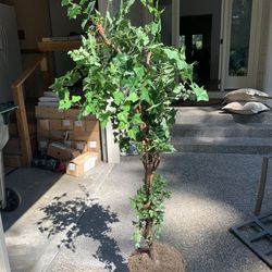 Fake Plant About 5 Feet Tall