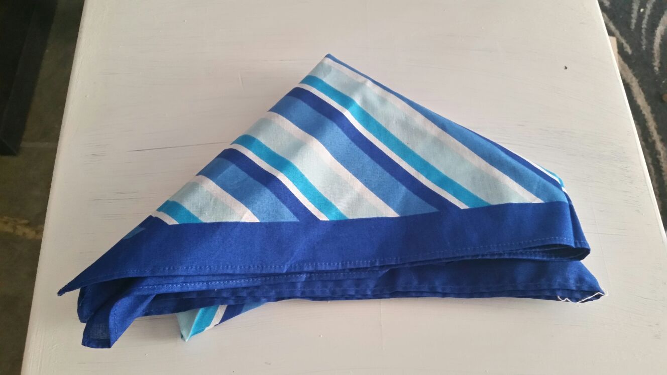 Blue bandana