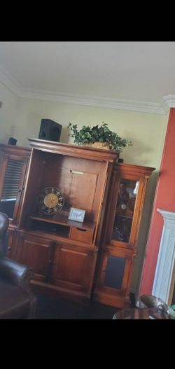 Tv case