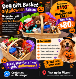 NEW HALLOWEEN DOG GIFT BASKET – $80