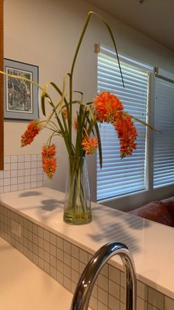 Vase with flowers (not real)