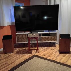 Shahinian Arc high-end speakers