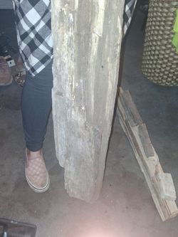 Petrified Wood