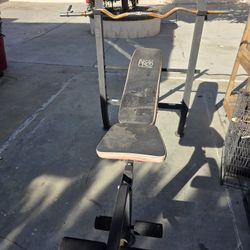 Weight Bench