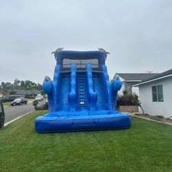 Water Slides 