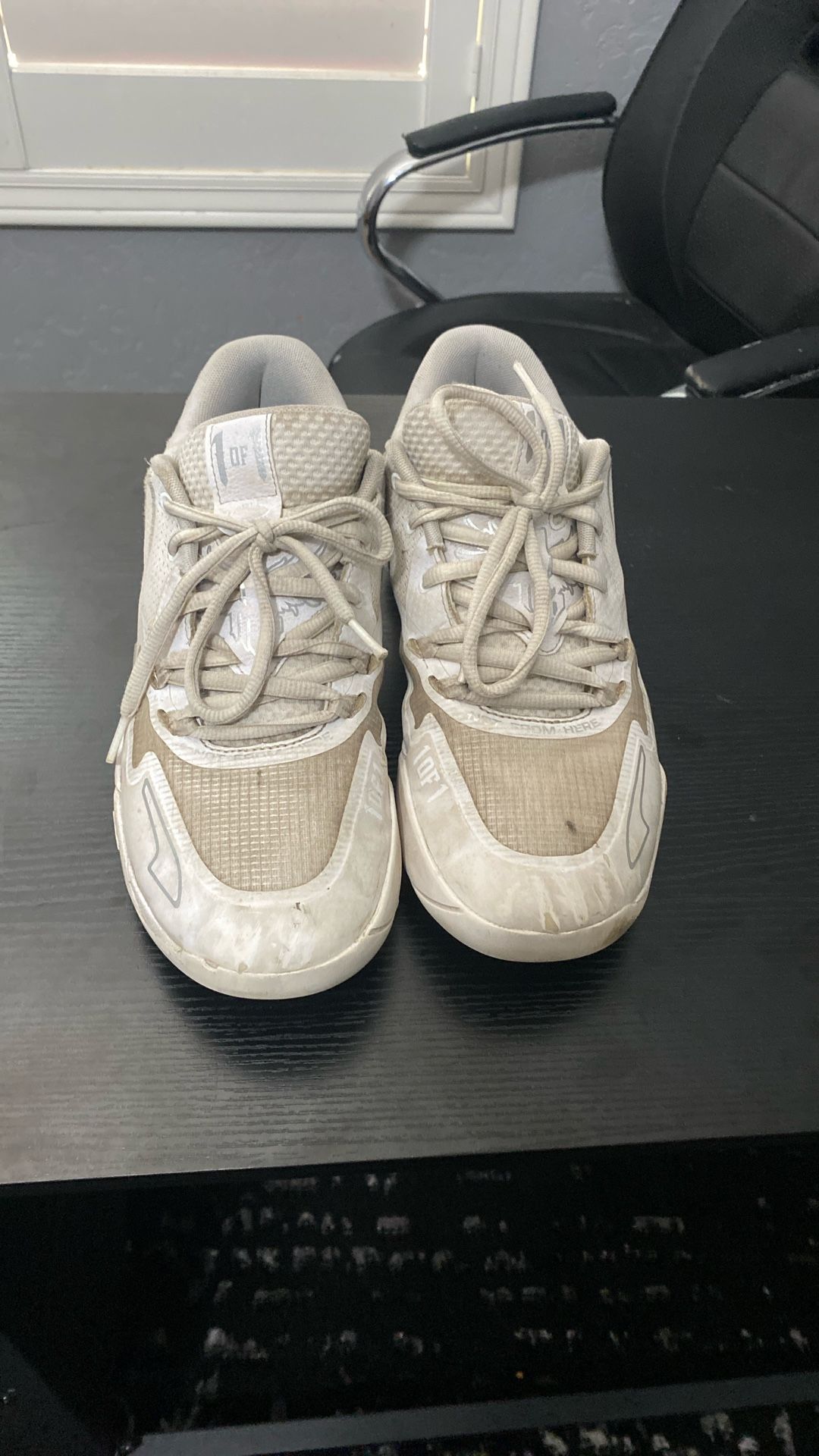 Puma Melo