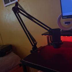 gaming/ recording microphone 