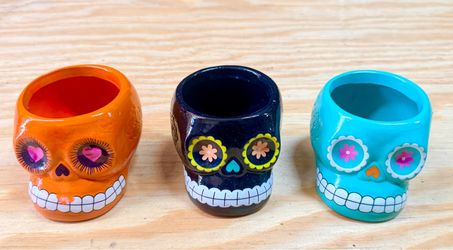 Skeleton HalloWeen