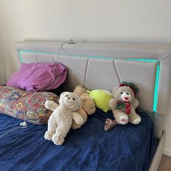 Queen Size Bed Frame With 4 Storage Drawer 