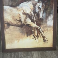 Horse Picture 
