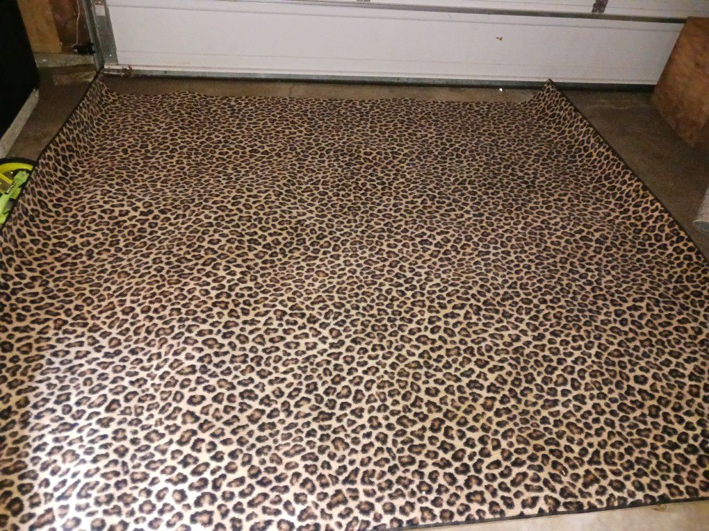 Cheetah Area Rug And Door Mat