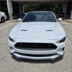 2019 Ford Mustang 