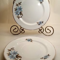 VTG Royal Stafford Fine Bone China Scalloped Salad Plate(2) Cheshire Blue Bonnet