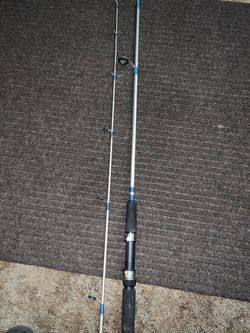 Zebco Genesis Fishing Pole