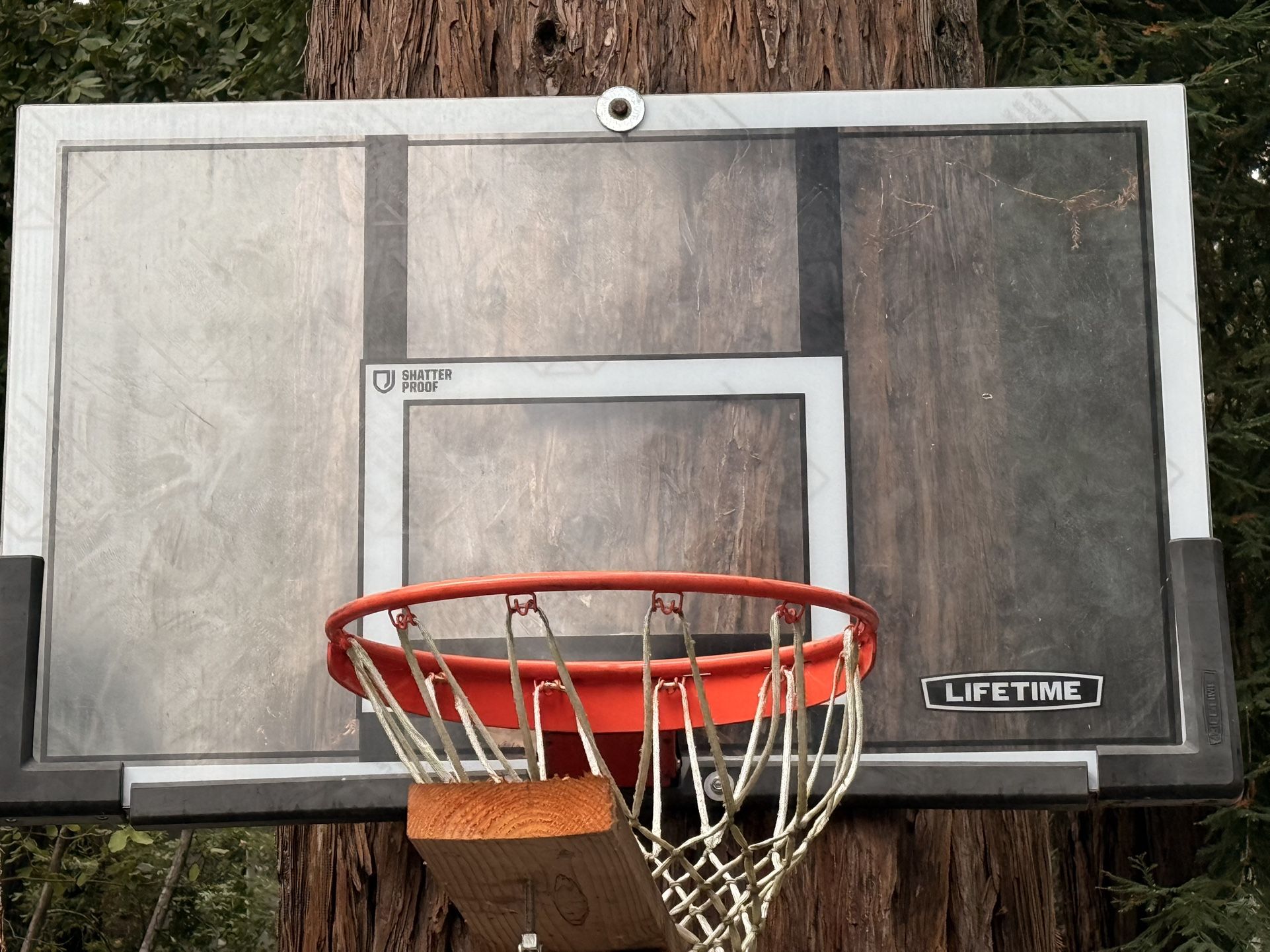 Basketball Hoop