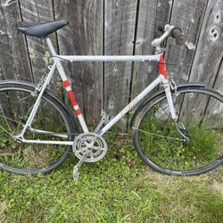 LARGE Raleigh Road Bike