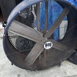 big fan 