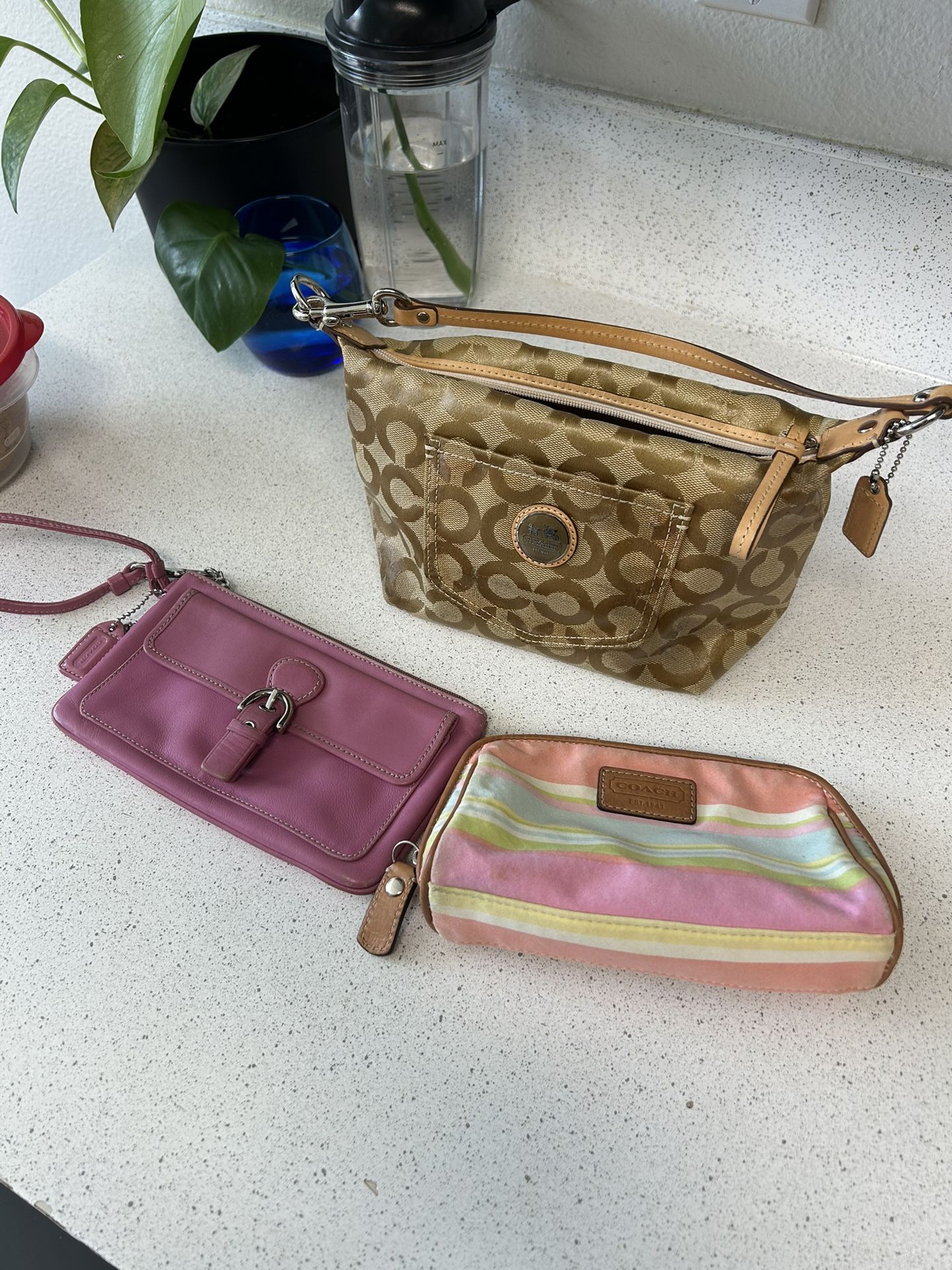 Coach Bag Lot