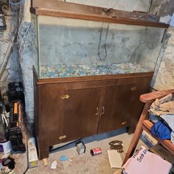 75 Gallon Fish Tank 