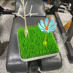 Boon Grass