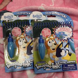 Bluey Water Color Books