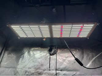240w Kingbrite LED Grow Light (used)