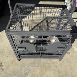 Bird Cage
