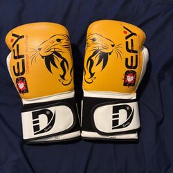 Boxing Gloves