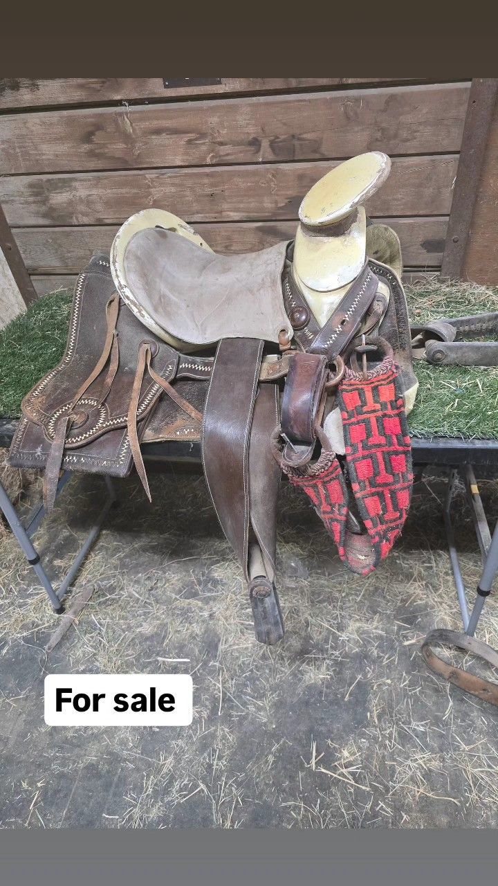 Saddle