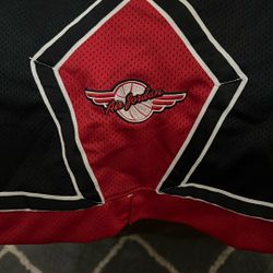 Nike Air Jordan Shorts 