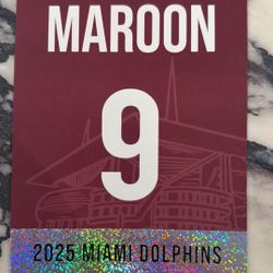 2025 Miami Dolphins Tampa Bay Parking Pass