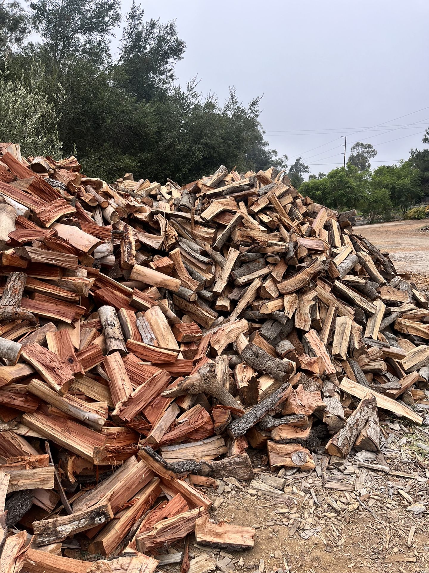 Firewood 