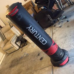 Punching Bag 