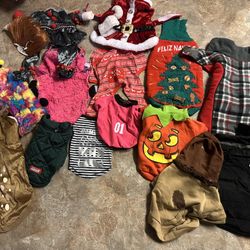 Dog Clothes/ Sweater 