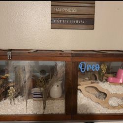 Hamster Enclosure 
