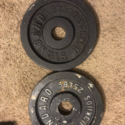 25 Pound Olympic Plates Pair Machined