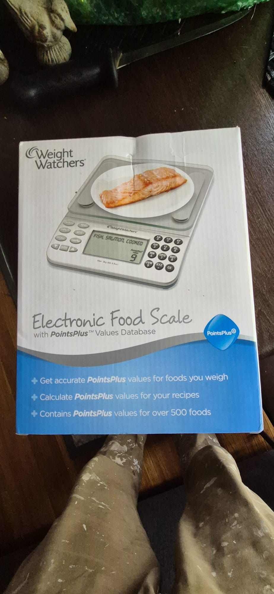 Electronic Food Scale