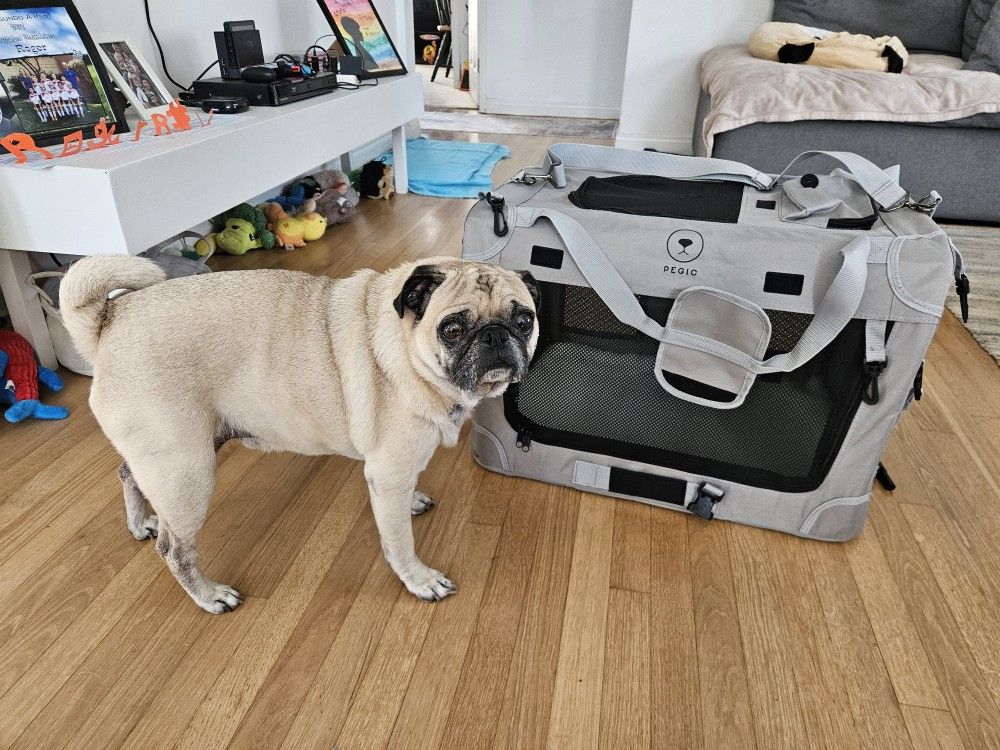 New Large Soft Collapsible Dog Cat Carrier Kennel Travel